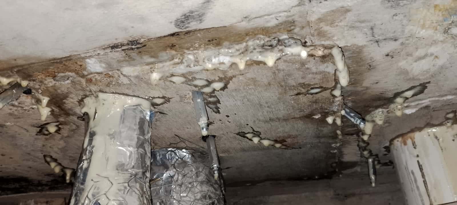 Floor Water Leakage Waterproofing Contractor 1 Why swc construction for floor waterproofing
