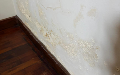 Blogs 10 Leak in the Corner of the Living Room