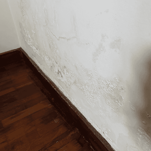 Leak in the Corner of the Living Room Leak in the Corner of the Living Room