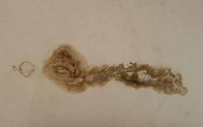 Blogs 8 How to Fix Failed Waterproofing