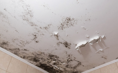 Blogs 5 Mould On Ceiling, What To Do?