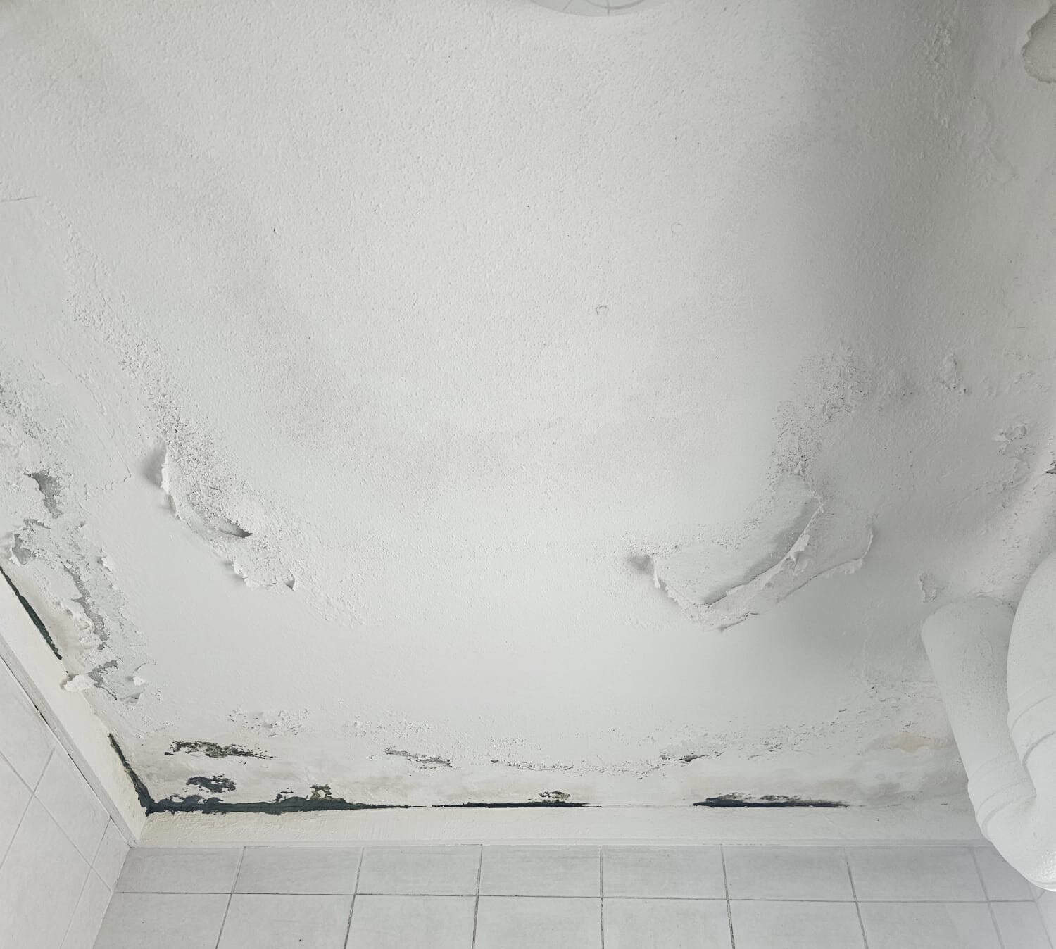 Detect poor waterproofing workmanship 1 Why Waterproofing Workmanship Matters So Much