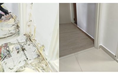 home 17 When to Use PU Grouting for Crack Repair