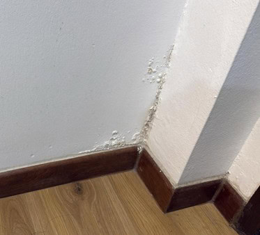 Signs of Your Bathroom Waterproofing Has Failed 5 Damp Walls Waterproofing