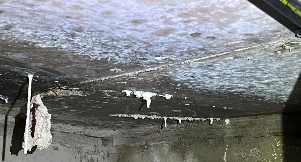Signs of Your Bathroom Waterproofing Has Failed 6 Water Dripping from Ceiling