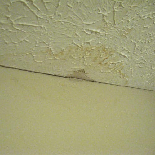 Best Ceiling Leakage Repair Specialist
