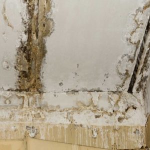 Reasons for Bathroom Leakage & Repair | Singapore Waterproofing