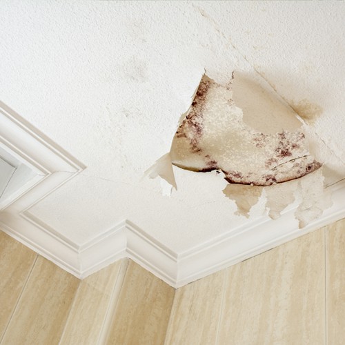 Ceiling Leaks in Household
