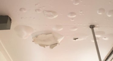 Ceiling Leak