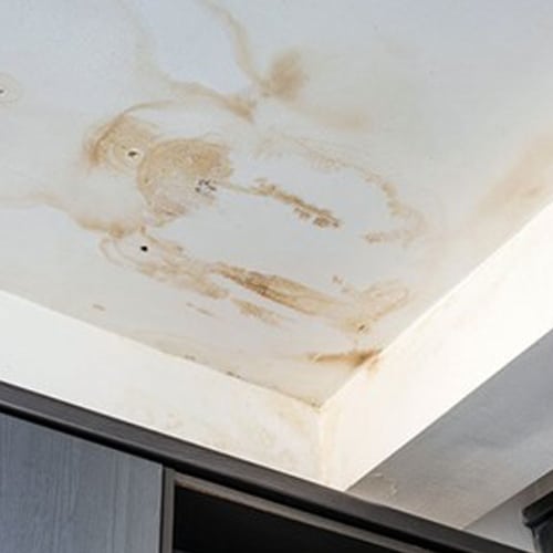 what to do with a roof leak