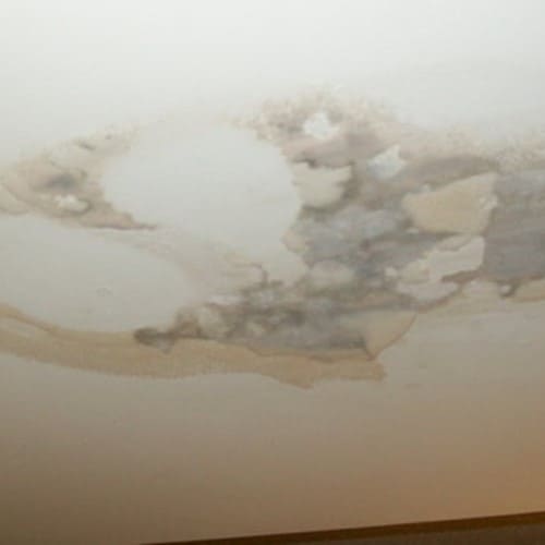 Ceiling Leak Repair Contractor
