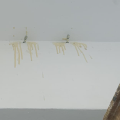 Ceiling Water Leak Solution | Ceiling Leakage Solution in SG