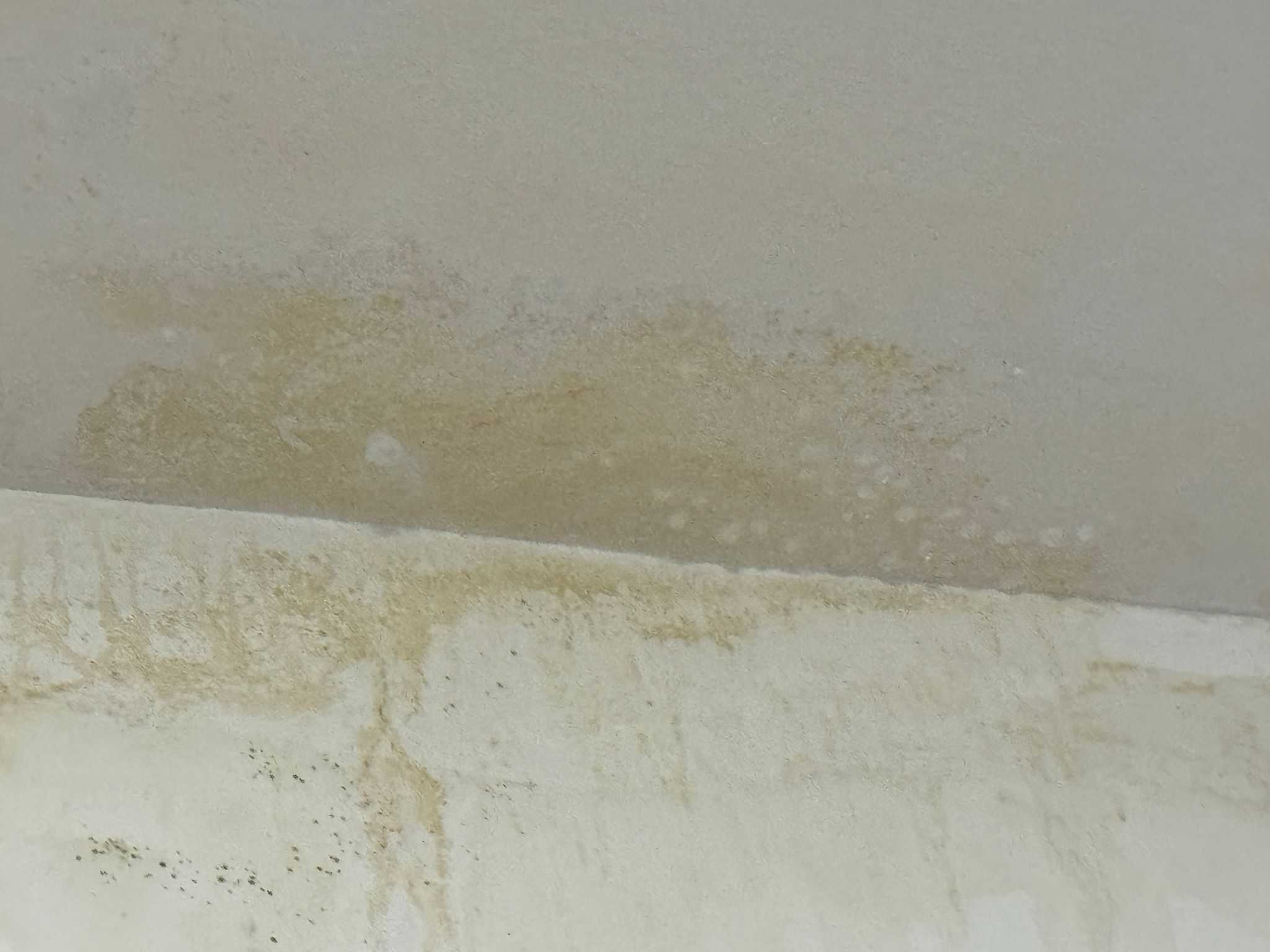 Roof leak in condo