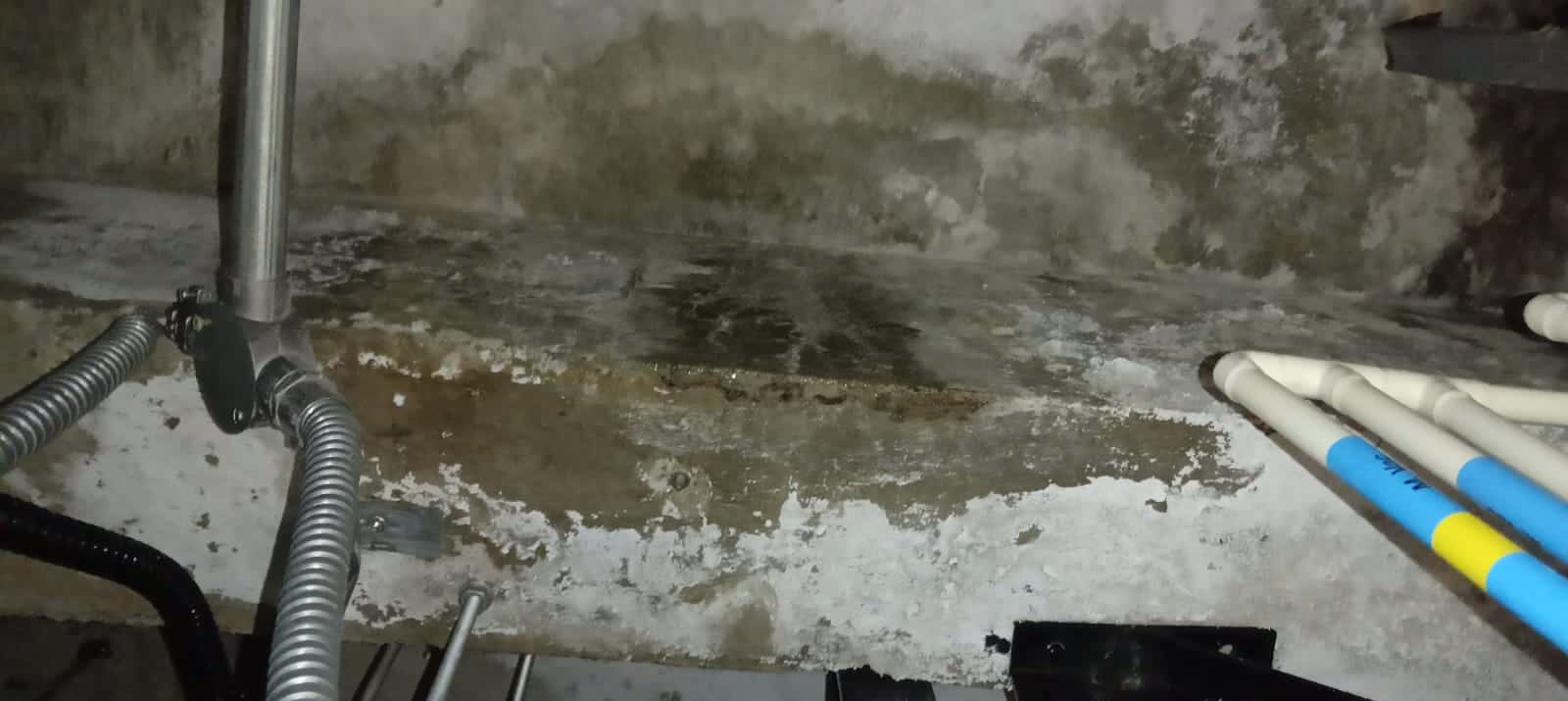 Explore fixing failed waterproofing