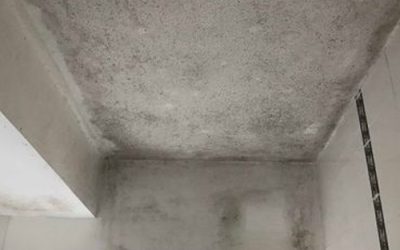 What Causes Mould to Form on Ceiling in Bathroom