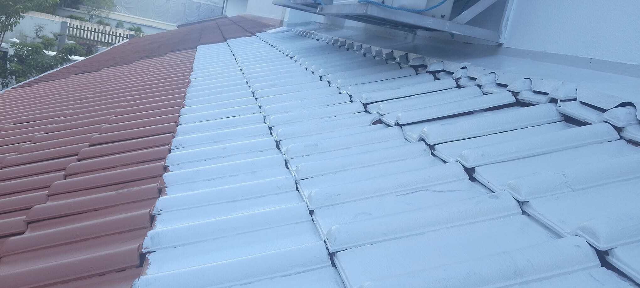 Why Singapor roof leaks