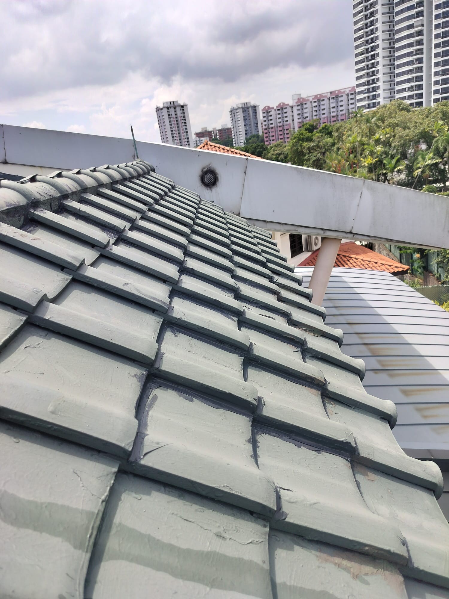 Signs of Leakage Clay Roof Tile Roof