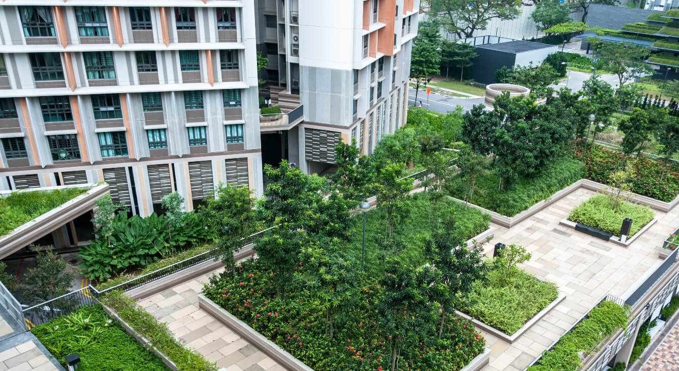 Green Roof and Rooftop Garden Terrace