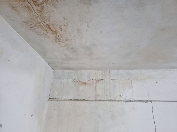 Ceiling Stains and Water Damage How Do We Solve It